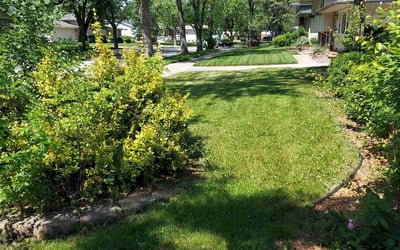 Photo of Jill R.'s yard after getting lawn care in Lansing, IL