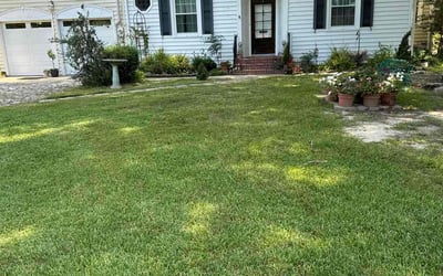 Photo of Myra W.'s yard after getting lawn care in Norfolk, VA