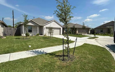 Photo of Mya L.'s yard after getting lawn care in Baytown, TX