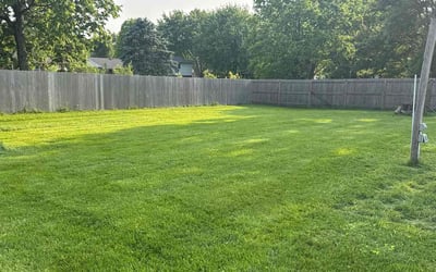 Photo of Dana C.'s yard after getting lawn care in Covington, KY