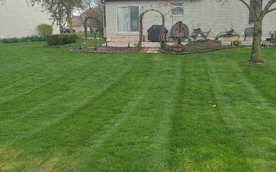 Photo of Dustin F.'s yard after getting lawn care in Grove City, OH
