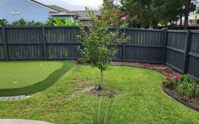 Photo of Michelle S.'s yard after getting lawn care in Johns Island, SC