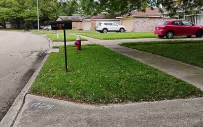 Photo of Alec N.'s yard after getting lawn care in West Columbia, TX