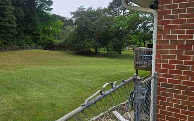 Photo of Taelor H.'s yard after getting lawn care in Missoula, MT