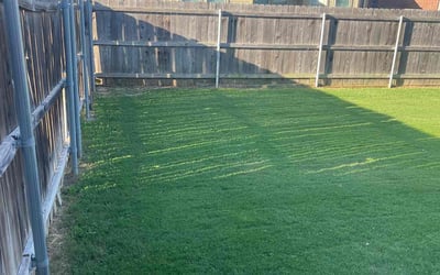 Photo of Victoria W.'s yard after getting lawn care in Central, SC