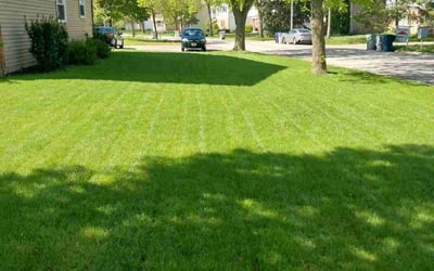 Photo of Alan B.'s yard after getting lawn care in Sussex, WI