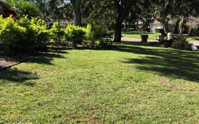 Photo of Nayoun L.'s yard after getting lawn care in Plant City, FL