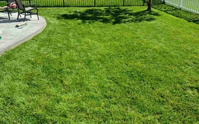 Photo of Brenda R.'s yard after getting lawn care in O'Fallon, MO