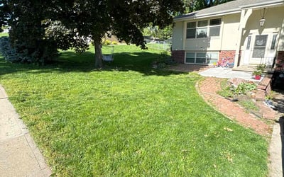 Photo of Clinton S.'s yard after getting lawn care in American Fork, UT