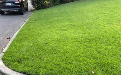 Photo of Sequoah R.'s yard after getting lawn care in Birmingham, AL