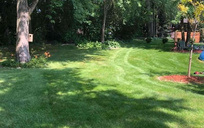 Photo of Stephanie H.'s yard after getting lawn care in Franklin, WI