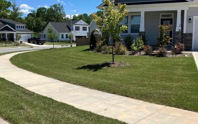Photo of Kay J.'s yard after getting lawn care in Fenton, MO