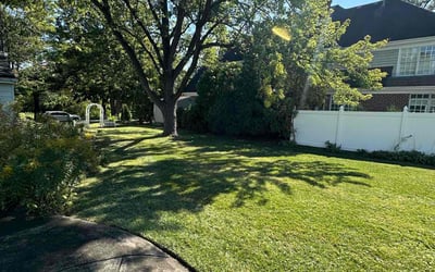 Photo of Angel M.'s yard after getting lawn care in Hinsdale, IL