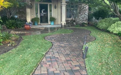 Photo of Michelle E.'s yard after getting lawn care in Manteca, CA