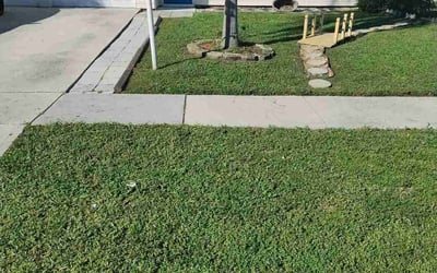 Photo of Elizabeth C.'s yard after getting lawn care in Lake Worth, FL