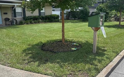 Photo of Ibelith M.'s yard after getting lawn care in Orlando, FL