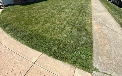 Photo of Jordan B.'s yard after getting lawn care in Castro Valley, CA