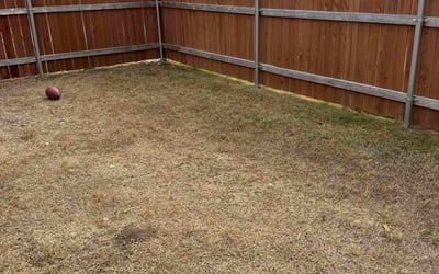 Photo of Wes B.'s yard after getting lawn care in Westborough, MA