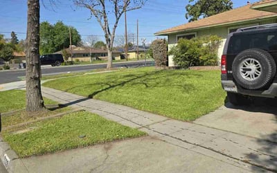 Photo of Cherokee B.'s yard after getting lawn care in Fresno, CA