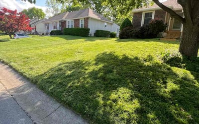 Photo of Michael W.'s yard after getting lawn care in Columbia, MO