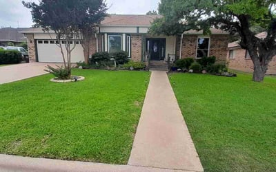Photo of John P.'s yard after getting lawn care in Lakeway, TX