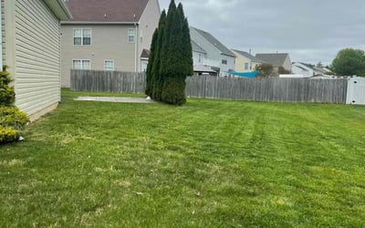 Photo of Vickie M.'s yard after getting lawn care in Hightstown, NJ