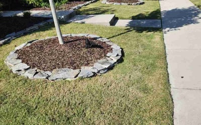 Photo of Marner C.'s yard after getting lawn care in Fort Mill, SC