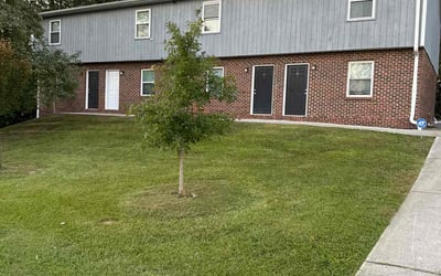 Photo of Ashley R.'s yard after getting lawn care in Durham, NC