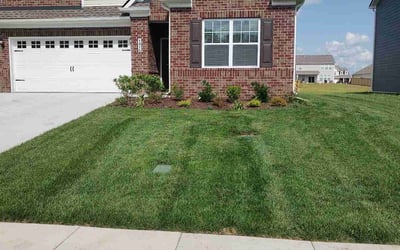 Photo of AMY S.'s yard after getting lawn care in Mount Pleasant, TN