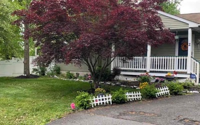 Photo of Yvonne D.'s yard after getting lawn care in Sparta, NJ