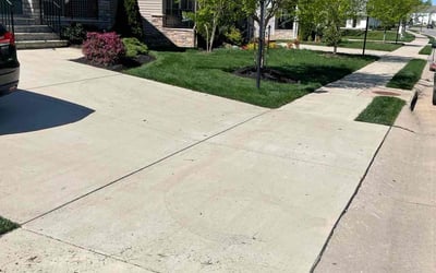 Photo of Peter C.'s yard after getting lawn care in Charles City, VA