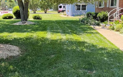Photo of Stephen T.'s yard after getting lawn care in Windsor, VA