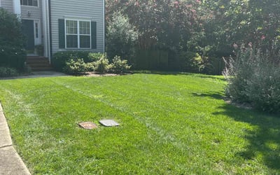 Photo of Edna G.'s yard after getting lawn care in Apex, NC
