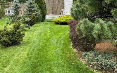 Photo of Martina L.'s yard after getting lawn care in Rocky Hill, CT