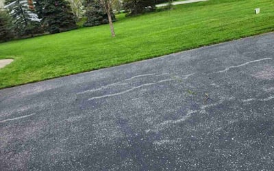 Photo of Cynthia W.'s yard after getting lawn care in Oregon, OH