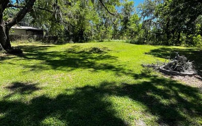 Photo of Betsy T.'s yard after getting lawn care in Auburndale, FL