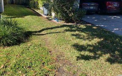 Photo of Brian E.'s yard after getting tree care in Pottstown, PA