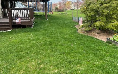 Photo of Angel M.'s yard after getting lawn care in Macungie, PA