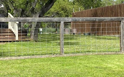 Photo of Bj M.'s yard after getting lawn care in Dripping Springs, TX