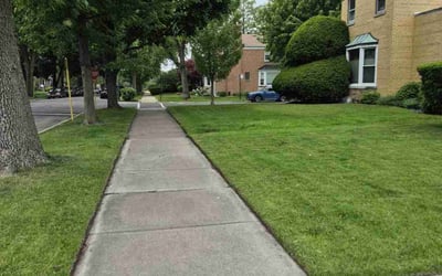 Photo of Freddie J.'s yard after getting lawn care in Orland, IL