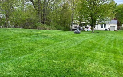 Photo of Kailee G.'s yard after getting lawn care in Lowell, MI