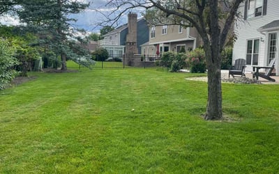 Photo of Rachel L.'s yard after getting lawn care in Wheaton, IL
