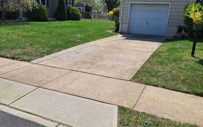 Photo of Amanda W.'s yard after getting lawn care in Trenton, NJ