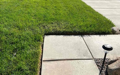 Photo of William Y.'s yard after getting lawn care in San Jacinto, CA