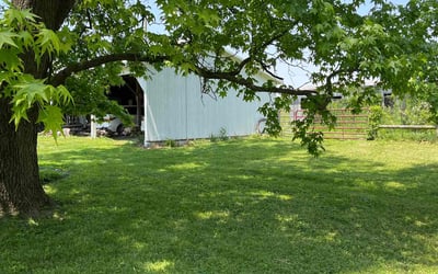 Photo of Giselly S.'s yard after getting lawn care in Stamford, CT