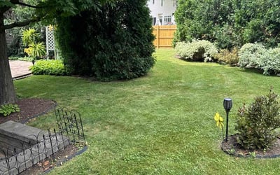 Photo of Deborah C.'s yard after getting lawn care in Orchard Park, NY