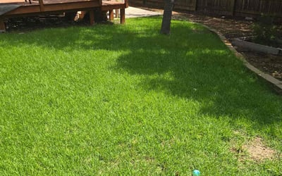 Photo of Nolan C.'s yard after getting lawn care in Haslet, TX