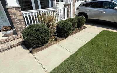 Photo of Bharti P.'s yard after getting lawn care in Festus, MO