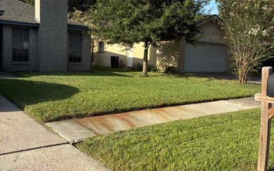 Photo of Amy H.'s yard after getting lawn care in Gilbert, AZ