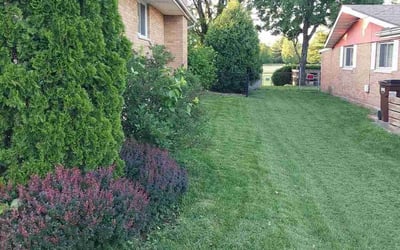 Photo of Priscilla H.'s yard after getting lawn care in Chester, VA